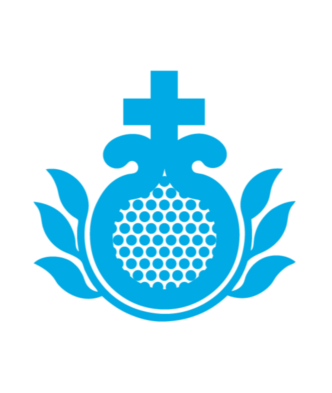 Princípios da Ordem Hospitaleira