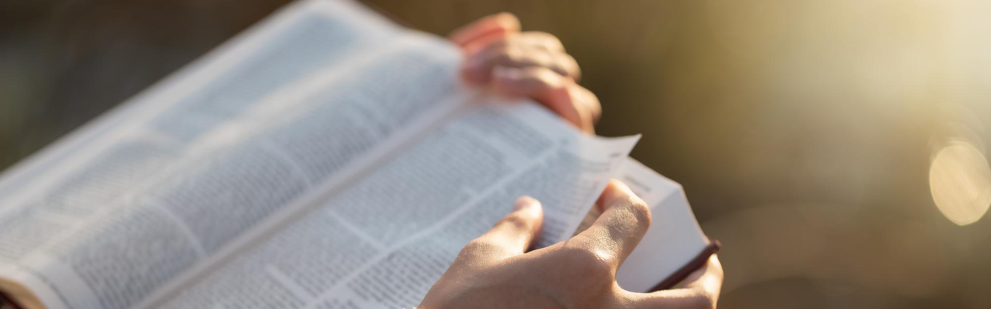 Documentos Institucionais